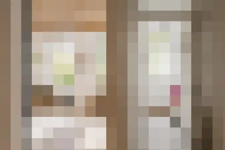 Meeuwenlaan 69 H Amsterdam thumbnail 34