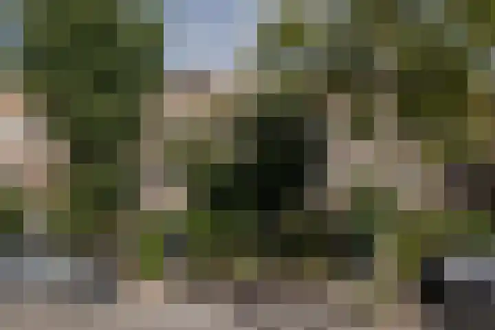 Meeuwenlaan 69 H Amsterdam thumbnail 35