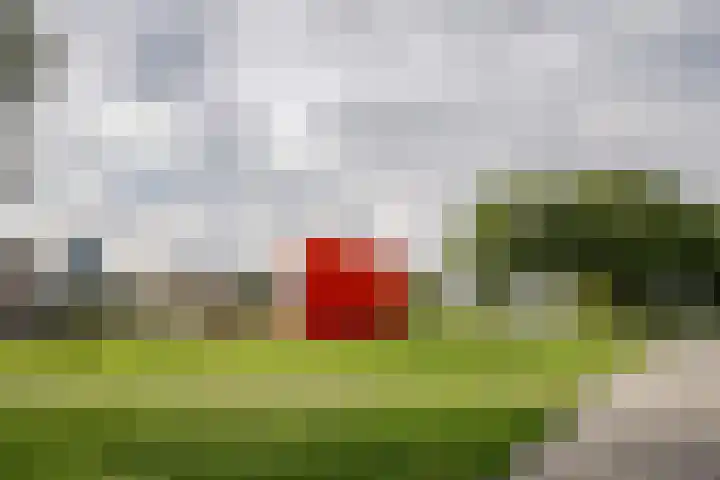 Meeuwenlaan 69 H Amsterdam thumbnail 36