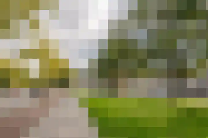 Meeuwenlaan 69 H Amsterdam thumbnail 37