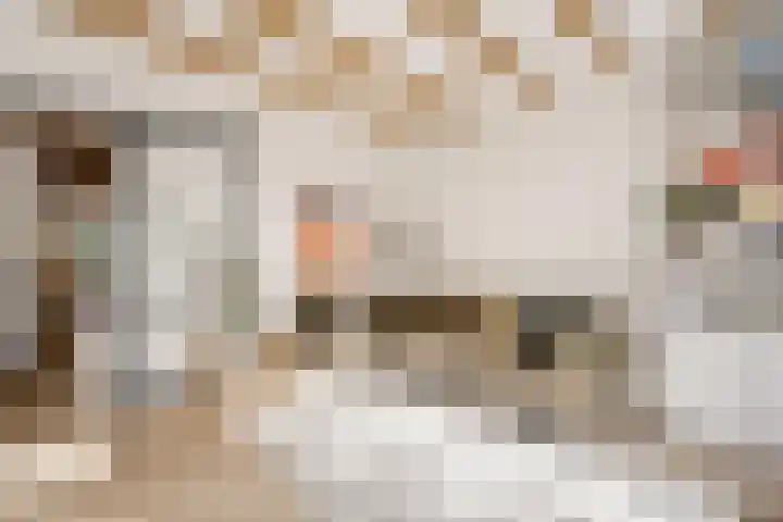 Meeuwenlaan 69 H Amsterdam thumbnail 4