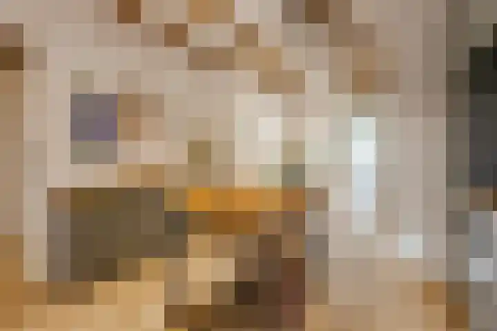 Meeuwenlaan 69 H Amsterdam thumbnail 5