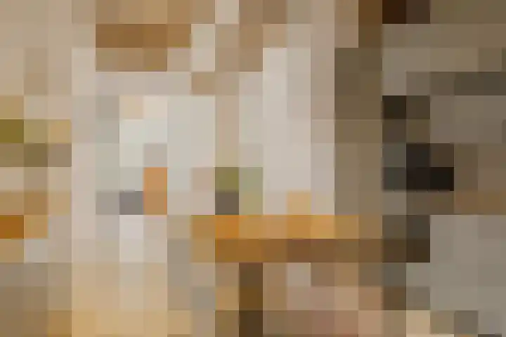 Meeuwenlaan 69 H Amsterdam thumbnail 7