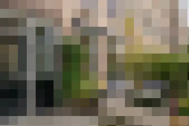 Meeuwenlaan 69 H Amsterdam thumbnail 9