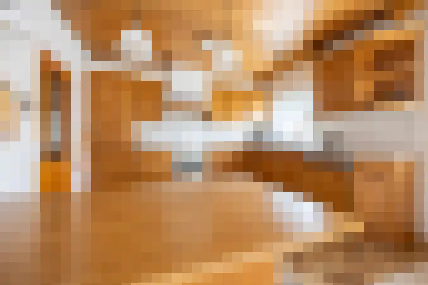 Meeuwenlaan 7 Egmond-Binnen thumbnail 10