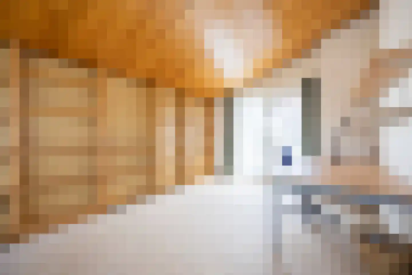 Meeuwenlaan 7 Egmond-Binnen thumbnail 12