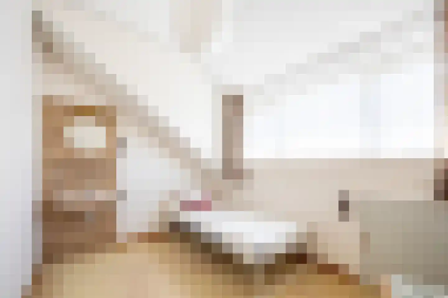 Meeuwenlaan 7 Egmond-Binnen thumbnail 23
