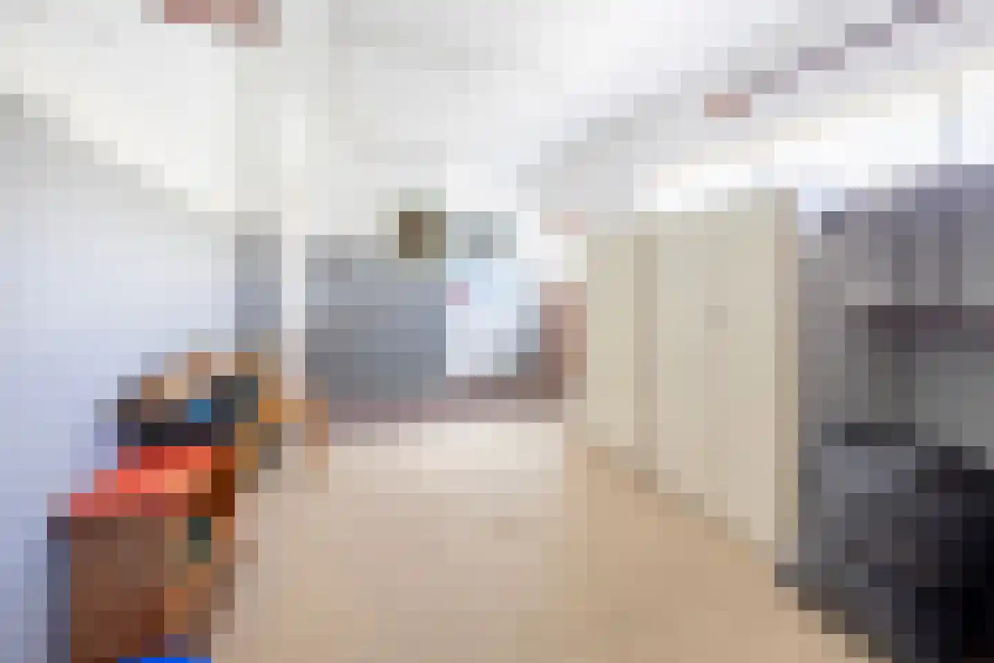 Meeuwenlaan 7 Egmond-Binnen thumbnail 31
