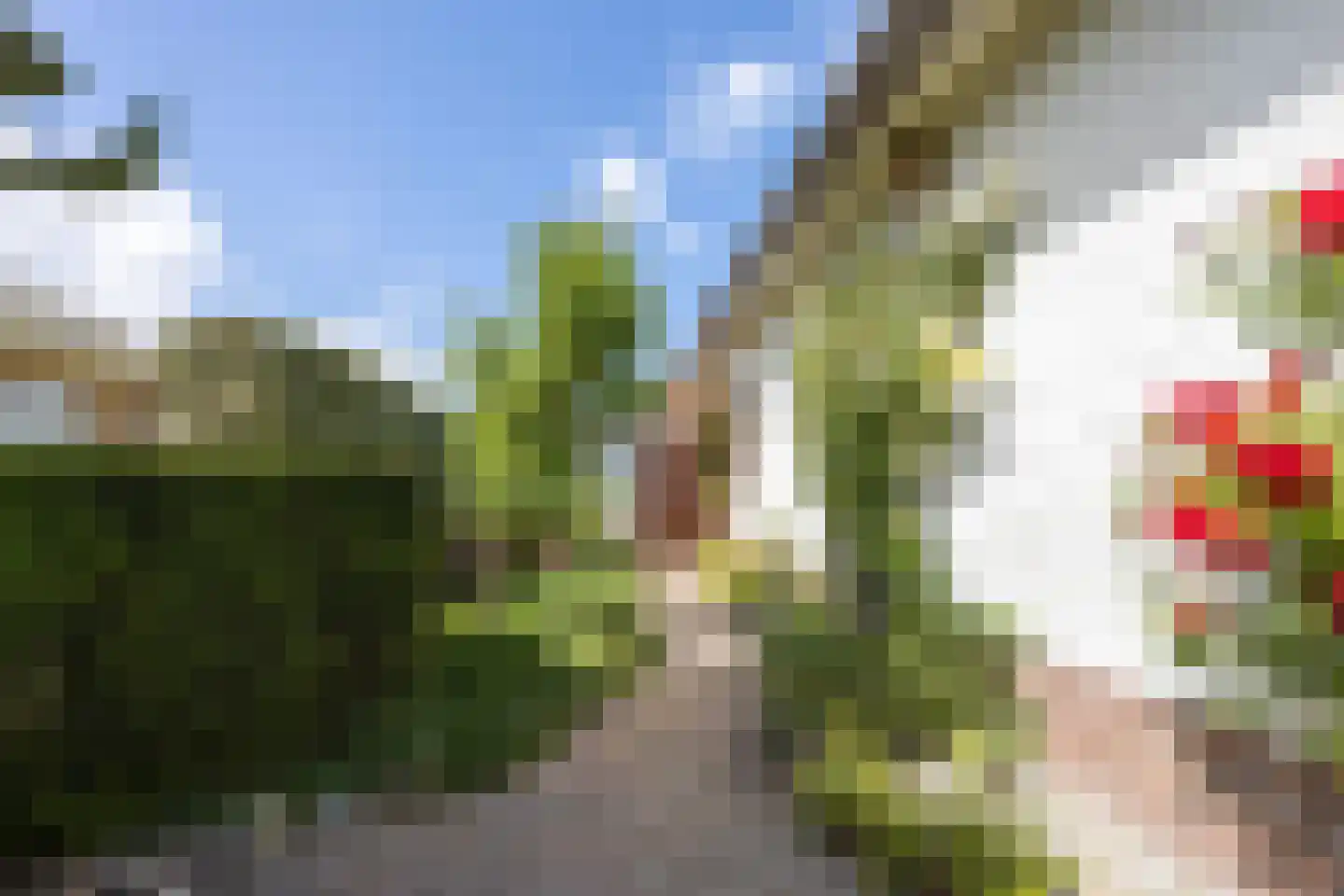 Meeuwenlaan 7 Egmond-Binnen thumbnail 33