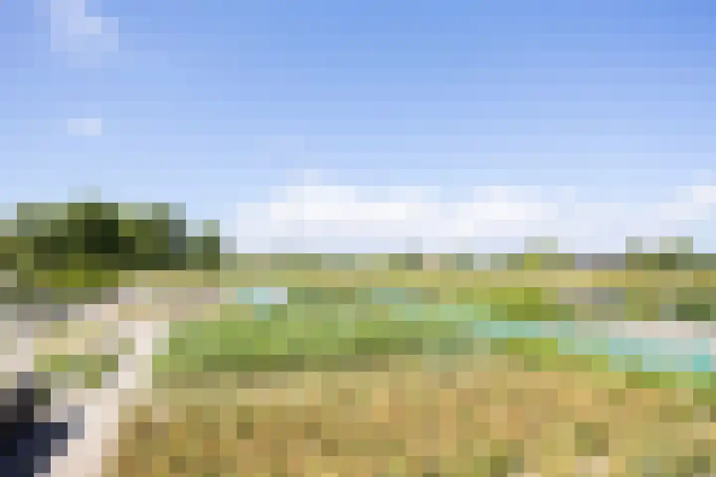 Meeuwenlaan 7 Egmond-Binnen thumbnail 4