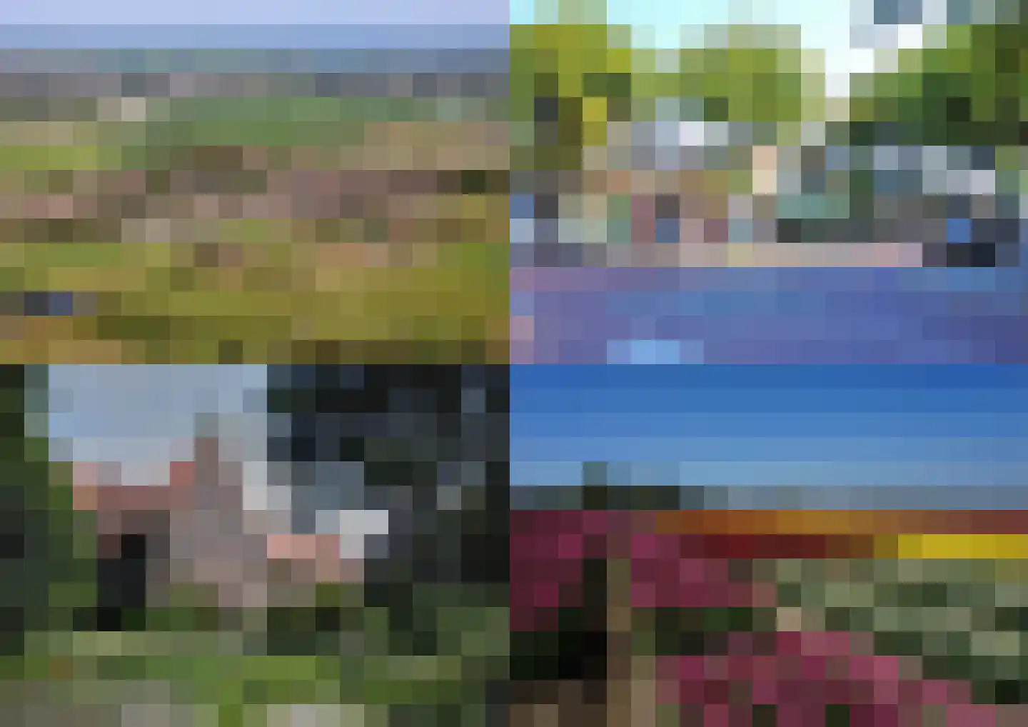 Meeuwenlaan 7 Egmond-Binnen thumbnail 42