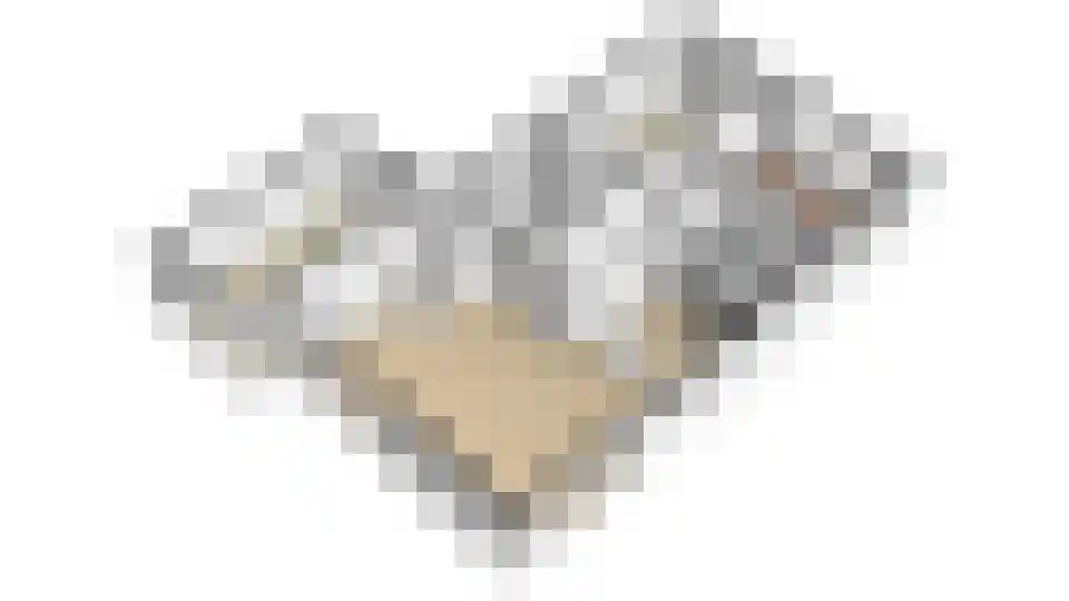 Meeuwenlaan 7 Egmond-Binnen thumbnail 46