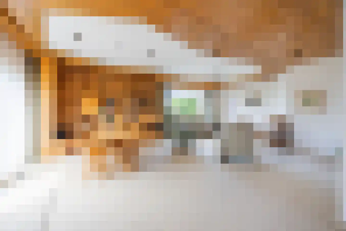 Meeuwenlaan 7 Egmond-Binnen thumbnail 5
