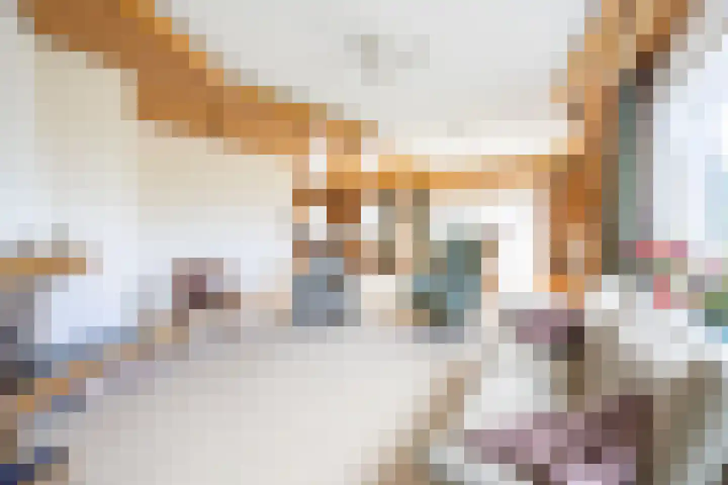 Meeuwenlaan 7 Egmond-Binnen thumbnail 6