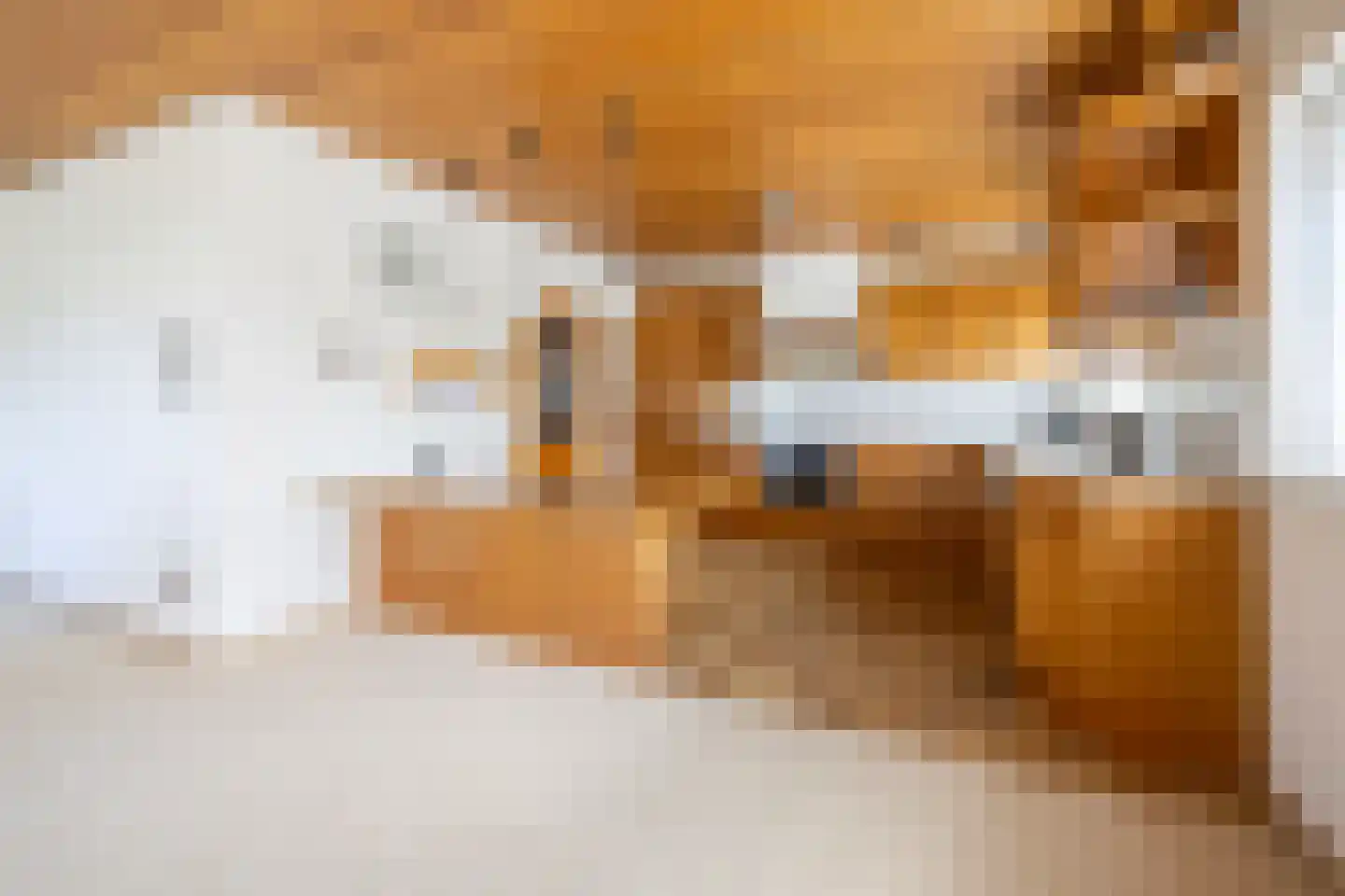 Meeuwenlaan 7 Egmond-Binnen thumbnail 9