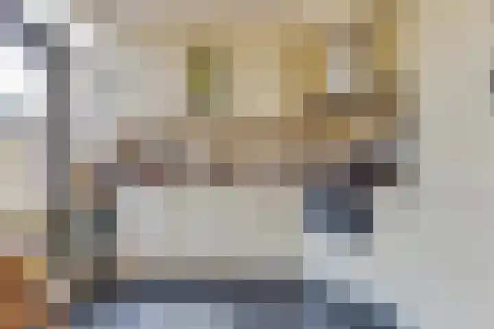 Meeuwenlaan 7 Groet thumbnail 13