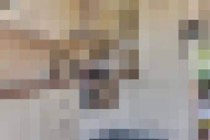 Meeuwenlaan 7 Groet thumbnail 14