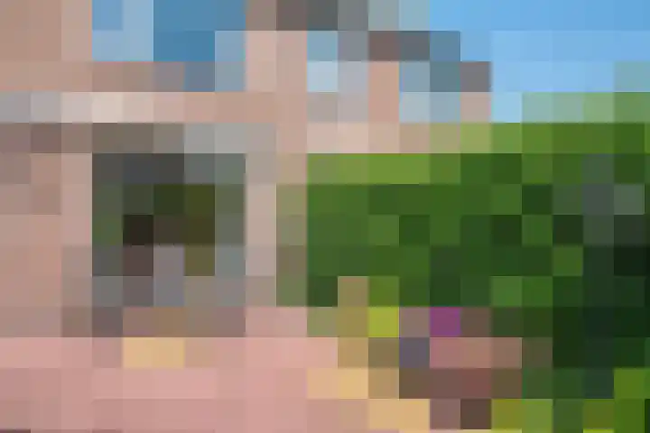 Meeuwenlaan 7 Groet thumbnail 17