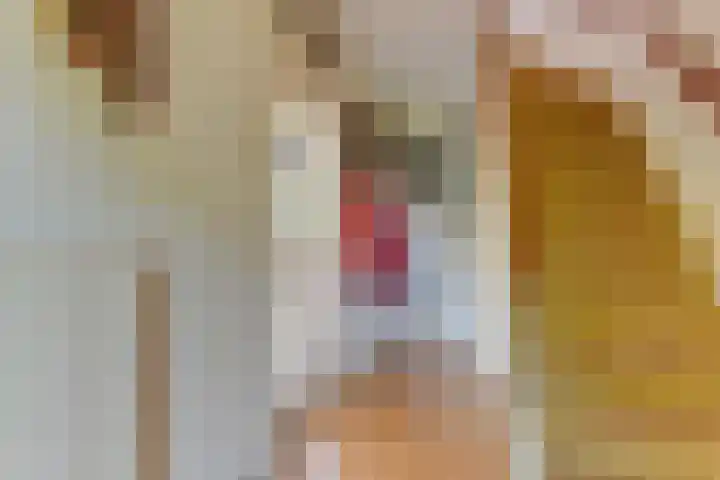 Meeuwenlaan 7 Groet thumbnail 20