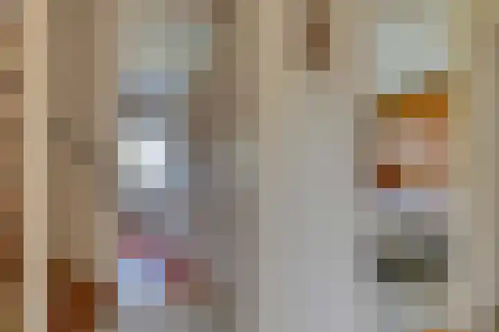 Meeuwenlaan 7 Groet thumbnail 23