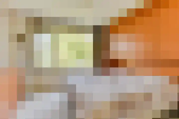Meeuwenlaan 7 Groet thumbnail 24