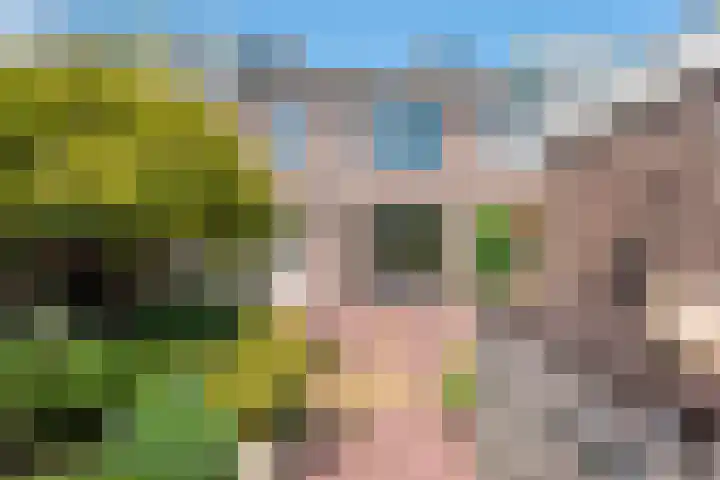 Meeuwenlaan 7 Groet foto 3