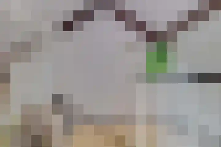 Meeuwenlaan 7 Groet thumbnail 35
