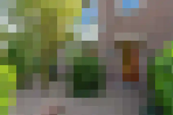 Meeuwenlaan 7 Groet thumbnail 38