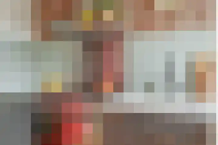 Meeuwenlaan 77 1 Amsterdam thumbnail 12