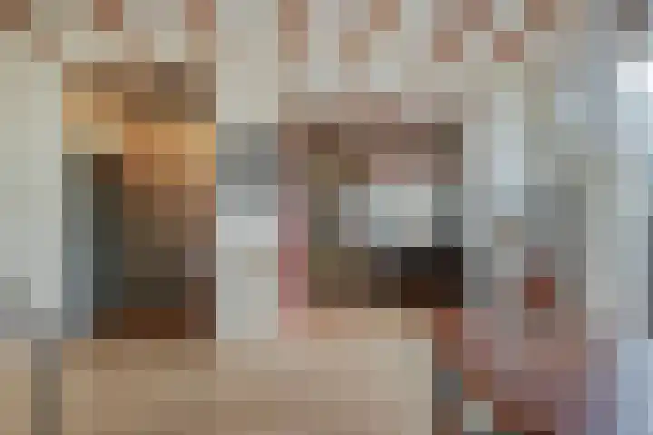 Meeuwenlaan 77 1 Amsterdam thumbnail 13