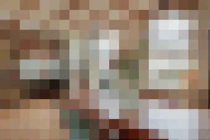 Meeuwenlaan 77 1 Amsterdam thumbnail 15