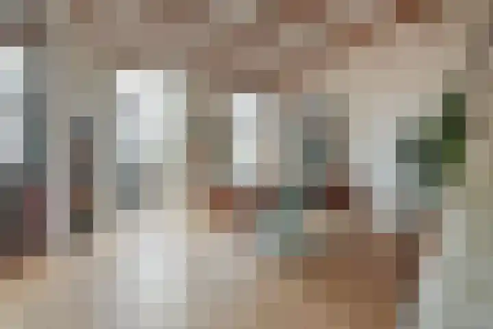 Meeuwenlaan 77 1 Amsterdam thumbnail 16