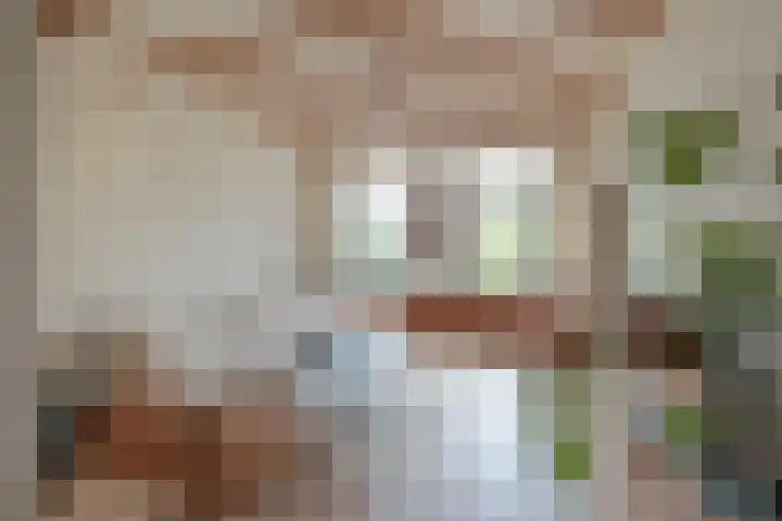 Meeuwenlaan 77 1 Amsterdam thumbnail 18