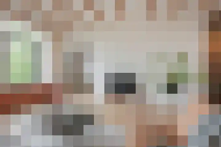 Meeuwenlaan 77 1 Amsterdam thumbnail 19