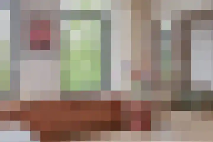 Meeuwenlaan 77 1 Amsterdam thumbnail 20