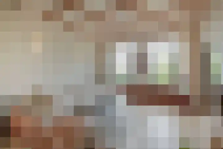 Meeuwenlaan 77 1 Amsterdam thumbnail 21