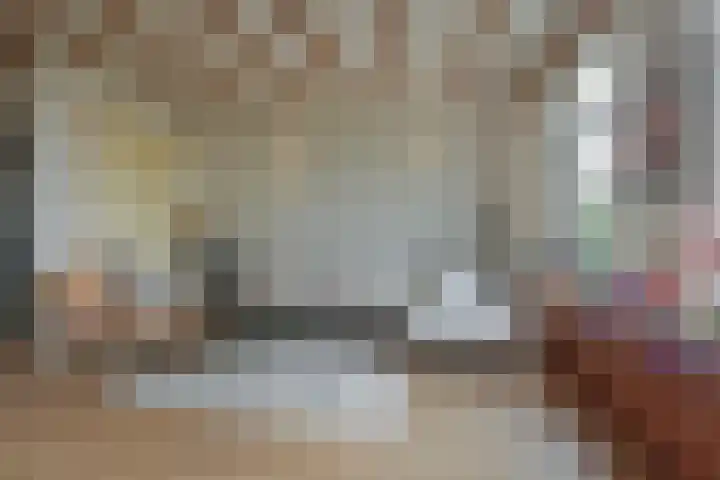 Meeuwenlaan 77 1 Amsterdam thumbnail 22