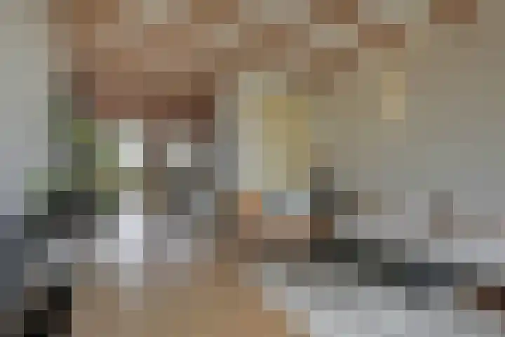 Meeuwenlaan 77 1 Amsterdam thumbnail 23