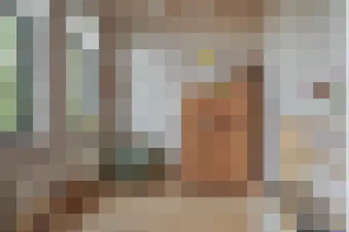 Meeuwenlaan 77 1 Amsterdam thumbnail 24