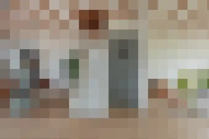 Meeuwenlaan 77 1 Amsterdam thumbnail 27