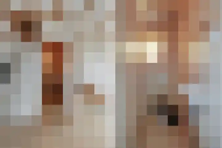 Meeuwenlaan 77 1 Amsterdam thumbnail 28