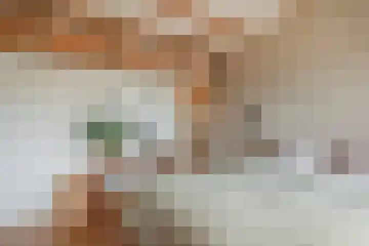 Meeuwenlaan 77 1 Amsterdam thumbnail 31