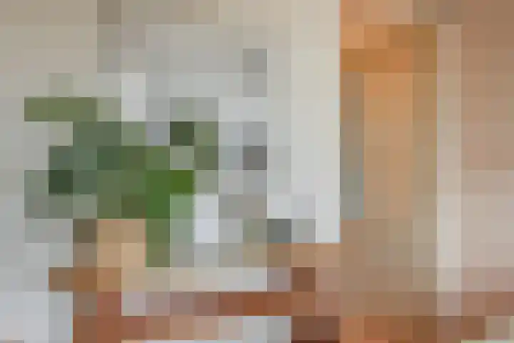 Meeuwenlaan 77 1 Amsterdam thumbnail 32
