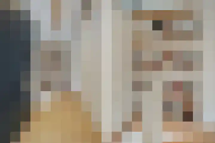 Meeuwenlaan 77 1 Amsterdam thumbnail 33