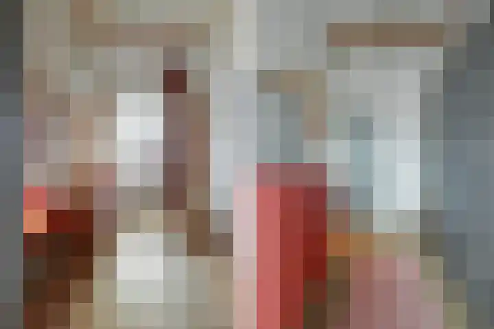 Meeuwenlaan 77 1 Amsterdam thumbnail 35