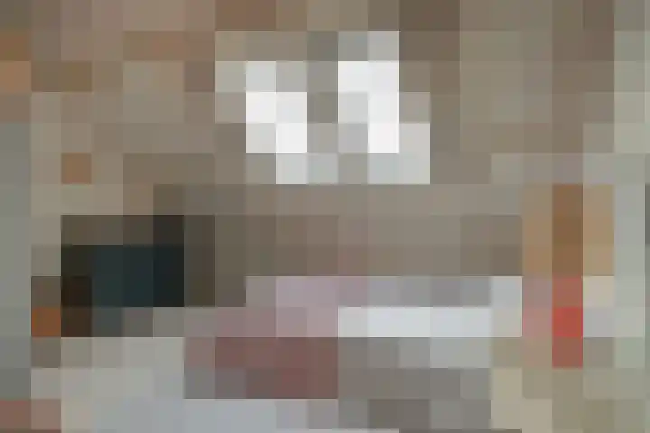 Meeuwenlaan 77 1 Amsterdam thumbnail 37