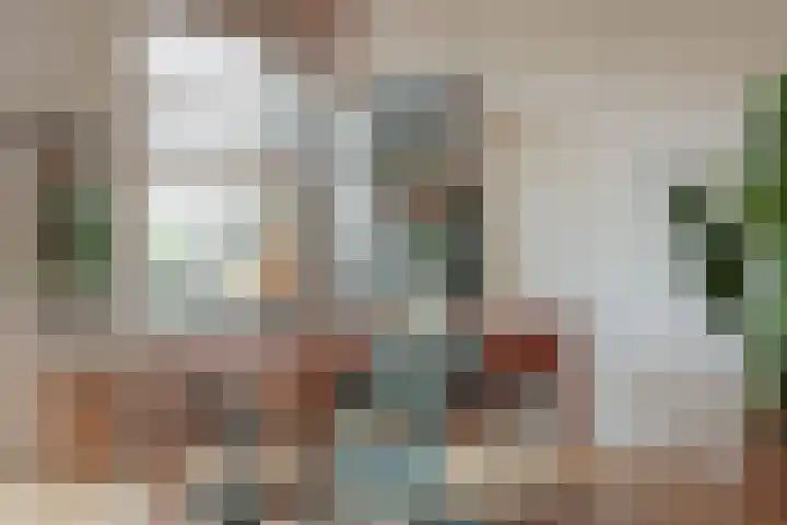 Meeuwenlaan 77 1 Amsterdam thumbnail 4