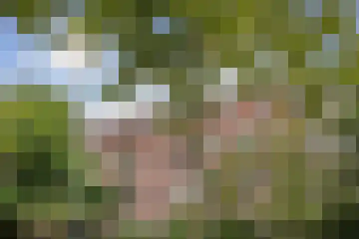 Meeuwenlaan 77 1 Amsterdam thumbnail 42