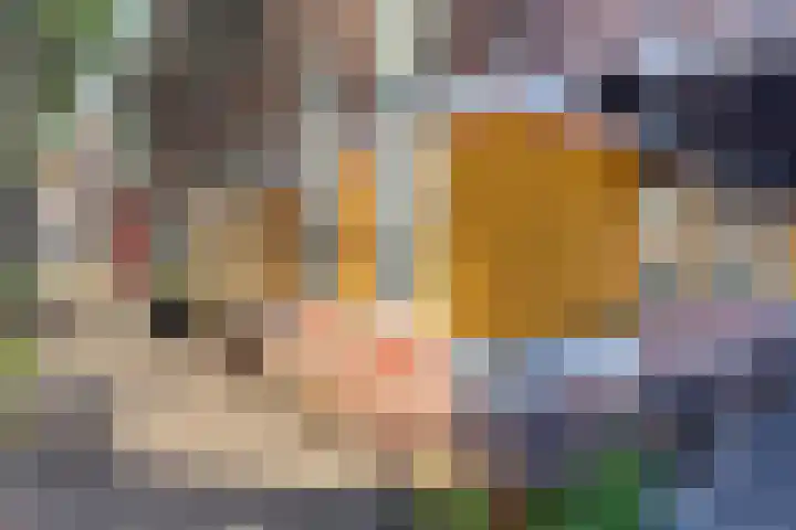 Meeuwenlaan 77 1 Amsterdam thumbnail 43