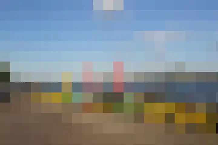 Meeuwenlaan 77 1 Amsterdam thumbnail 45